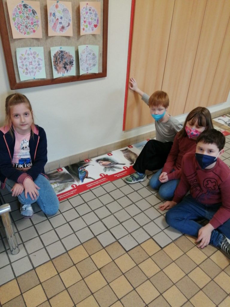 PtaciHodinka08.jpg