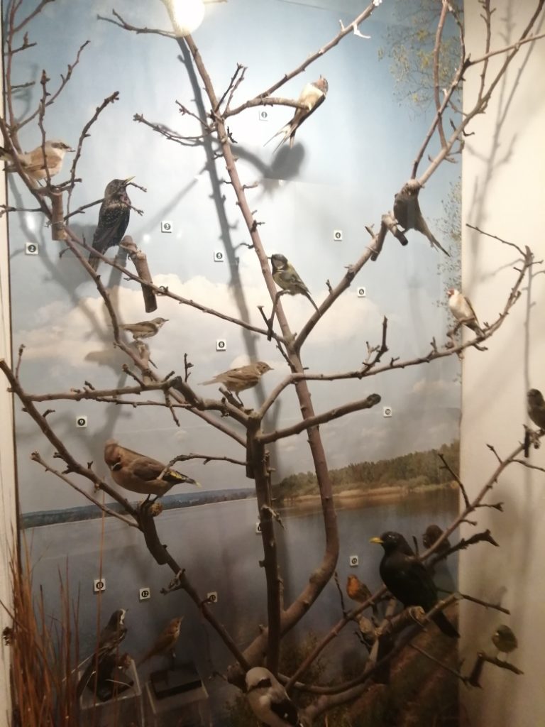 muzeum_prazdniny_2.jpg