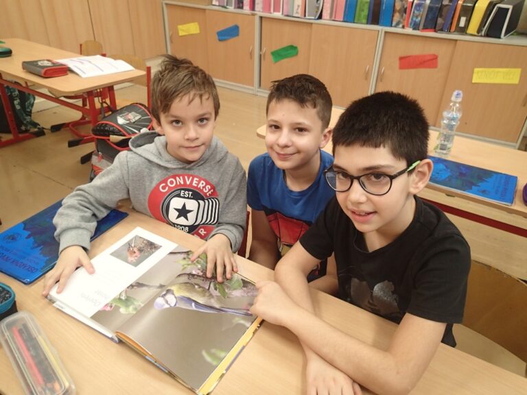 P1050030.jpg