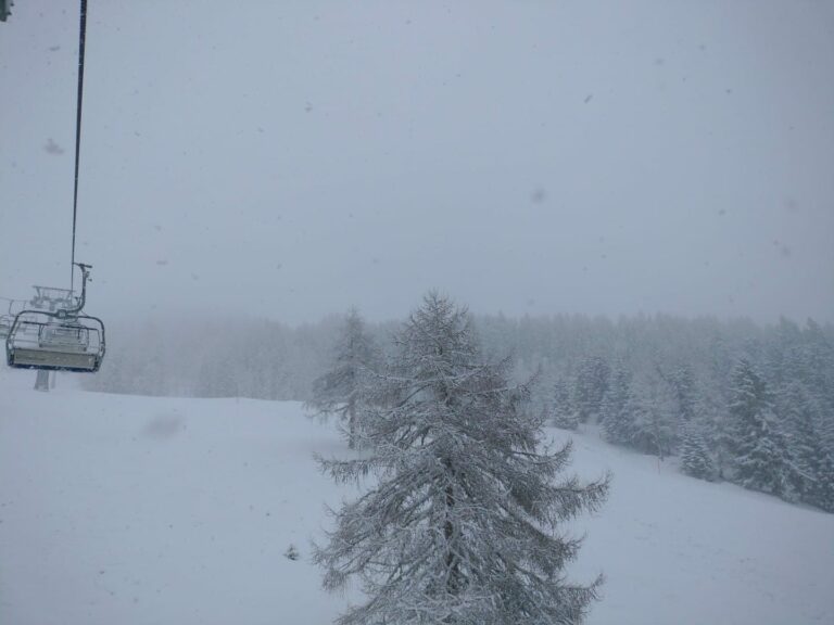 IMG-20240223-WA0011.jpg