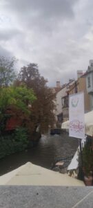 IMG-20251008-WA0008.jpg