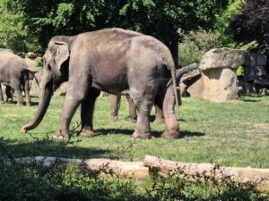 2CD_ZOO-PRAHA-2.jpg