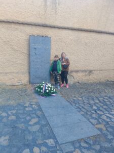 IMG_20260517_115532.jpg
