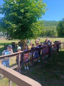 IMG_20260529_102755.jpg