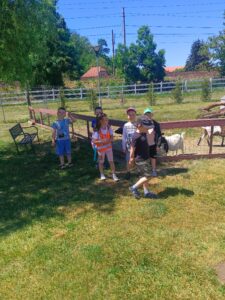 IMG_20260529_120837.jpg